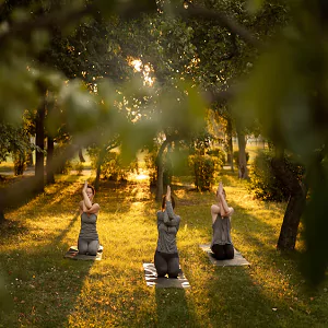 Conscient Elaira Residences Amenities - Yoga Lawn